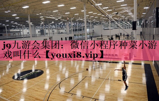 j9九游会集团：微信小程序种菜小游戏叫什么