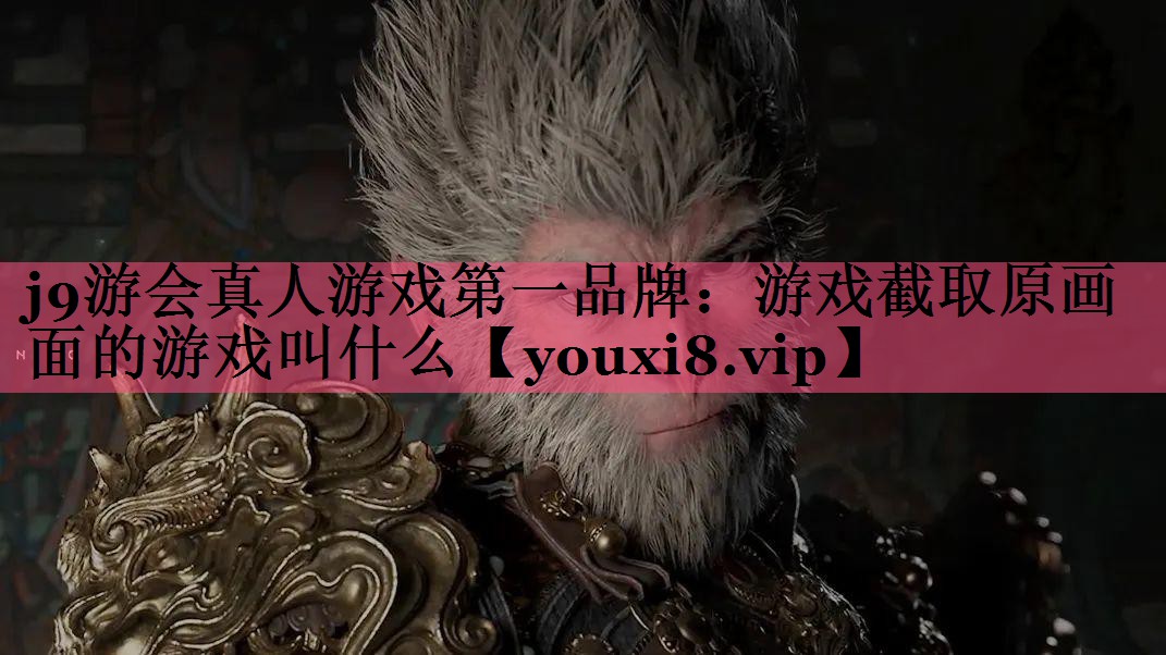 j9游会真人游戏第一品牌：游戏截取原画面的游戏叫什么