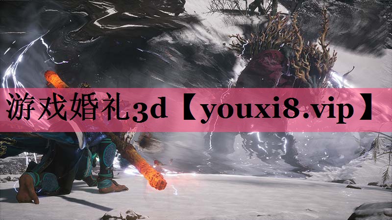 游戏婚礼3d