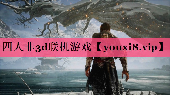 四人非3d联机游戏