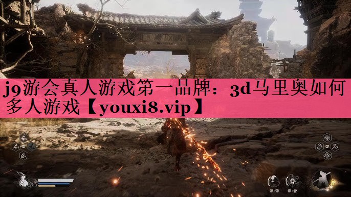 3d马里奥如何多人游戏