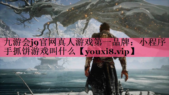 小程序手抓饼游戏叫什么