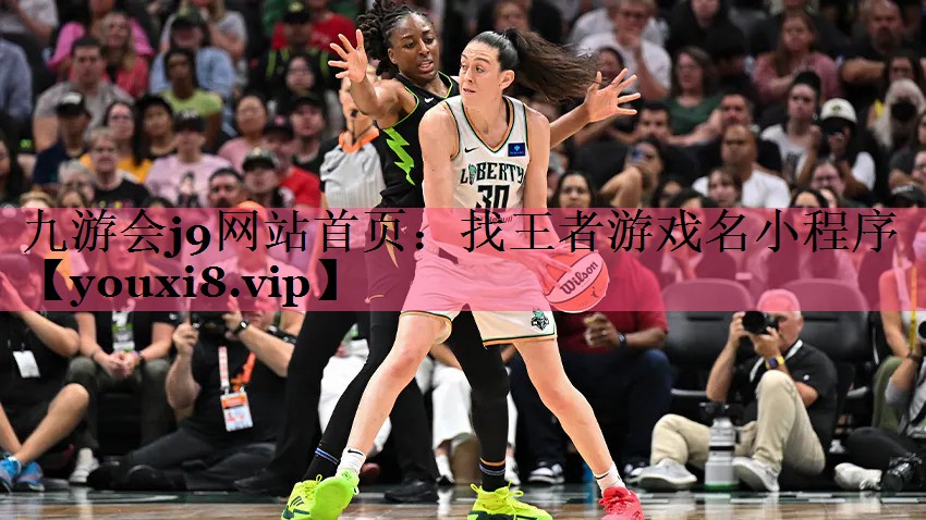 找王者游戏名小程序
