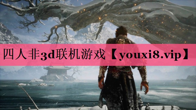 四人非3d联机游戏